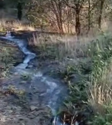 Ищите Балковский Байкал - стало известно, почему в Мелитополе нет воды (видео)