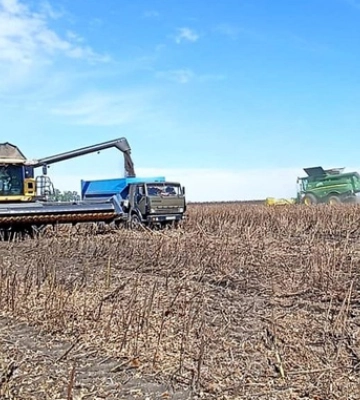 На Вінниччині очікують на високий урожай пізніх культур