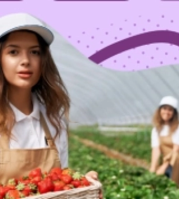 Ужгород, Львів, Вінниця: стартує проєкт RE:Berry для розвитку ягідного бізнесу