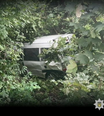 На Львівщині мікроавтобус злетів у кювет і перекинувся: постраждала жінка, - ФОТО