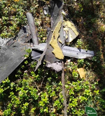 На Волині виявили повішеним морського піхотинця ЗСУ, – ЗМІ