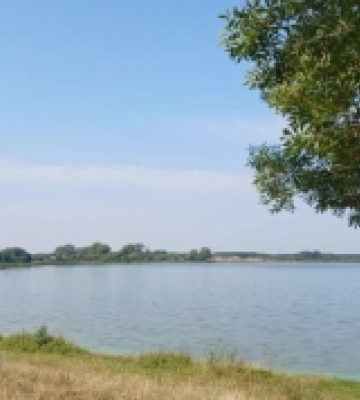 Тиша та спокій: мальовничі миттєвості озера Домашнє на Волині