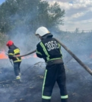 В Ізмаїлі рятувальники ліквідували масштабне займання очерету на озері Леб’яже