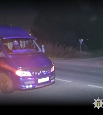 На Львівщині внаслідок ДТП мікроавтобус потрапив у кущі, а його пасажирка до лікарні