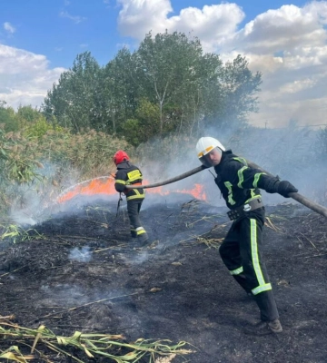 У місті Ізмаїл ліквідували масштабне загоряння очерету