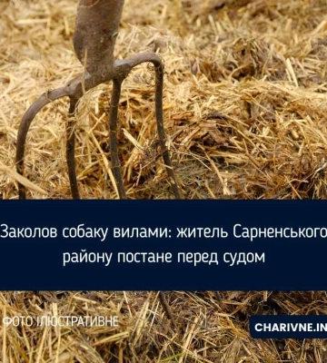 Заколов собаку вилами: житель Сарненського району постане перед судом