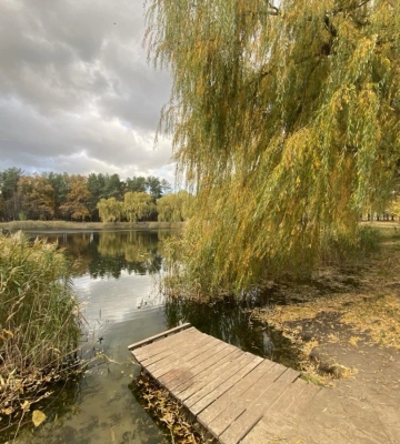 Перед вихідними Київ розігріє майже до +25°