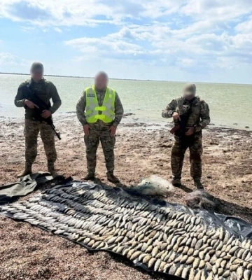 На Одещині браконьєр наловив риби на 8 млн грн
