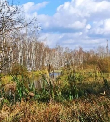 Львів відстояв ще одну ділянку заказника «Торфовище Білогорща» у суді