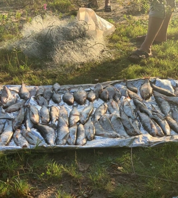 У Каневі затримали браконьєра, який сіткою наловив риби на понад сто тисяч