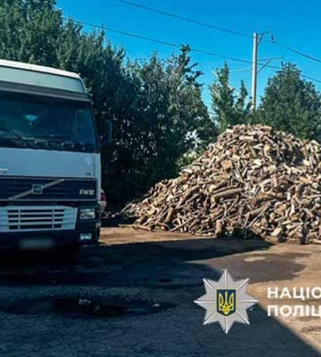 На Полтавщині судитимуть організовану групу «чорних лісорубів»