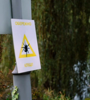У Києві розпочали планові обробки зелених зон від кліщів – перелік локацій