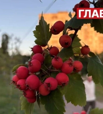 В Україні мінлива хмарність: прогноз погоди на 12 вересня