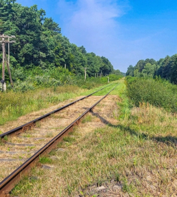 На Львівщині потяг опівночі смертельно травмував невідомого чоловіка