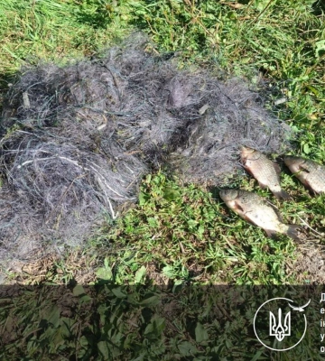 На Сумщині браконьєри завдали збитків довкіллю на понад 400 тис. грн
