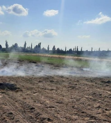 На Рівненщині оштрафували палія сухої рослинності