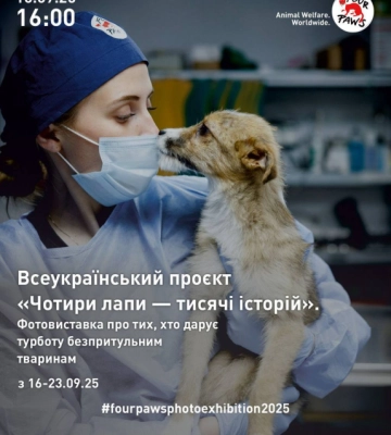 У Чернівцях проведуть фотовиставку про людей, які рятують життя безпритульним тваринам