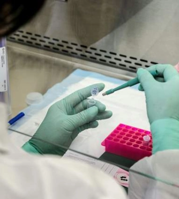У Львові зафіксували рідкісний випадок інфекції: у дитини виявили метрового паразита