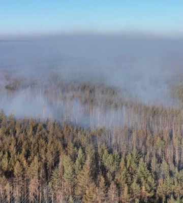 Горять ліси: на Харківщині гасять сім пожеж