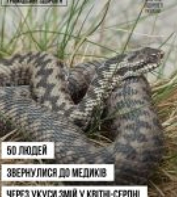 В Україні зафіксовано 50 укусів змій з квітня по серпень
