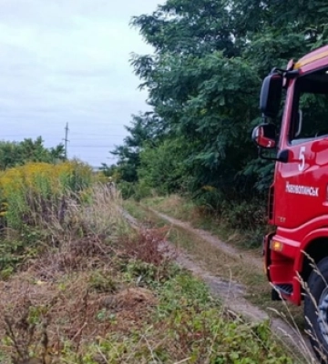 На Волині діти влаштували пожежу біля кладовища 