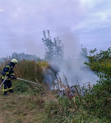 На Волині діти влаштували пожежу біля кладовища 