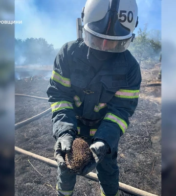 На Дніпропетровщині бійці ДСНС під час ліквідації пожежі врятували їжачка