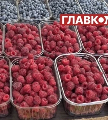Рекордна ціна на малину в Києві: що відбувається на ринку