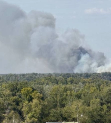 Палає ліс між Дніпром і Обухівкою: пожежники не можуть дістатися до епіцентру вогню