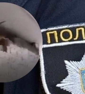 На Львівщині діти познущались із кошенята