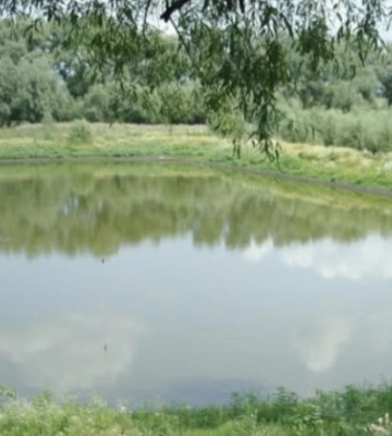 На Черкащині судитимуть чоловіка, який зробив ставок на землі для ведення селянського господарства