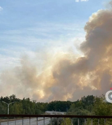 Вогонь охопив майже 10 гектарів: під Дніпром сталася масштабна лісова пожежа - відео