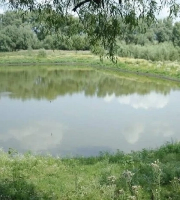 Чому за ставок можна потрапити під суд? На Черкащині справа викликала суперечки