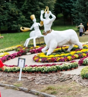 На Співочому полі відкрилася виставка хризантем «Знаки Зодіаку» 