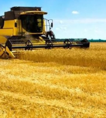Аграрії Одещини повністю зібрали ранні зернові: які цьогоріч врожаї