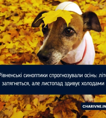 Рівненські синоптики спрогнозували осінь: літо затягнеться, але листопад здивує холодами