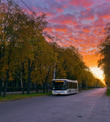 Як працює муніципальний транспорт Запоріжжя: розклад автобусів, трамваїв і тролейбусів