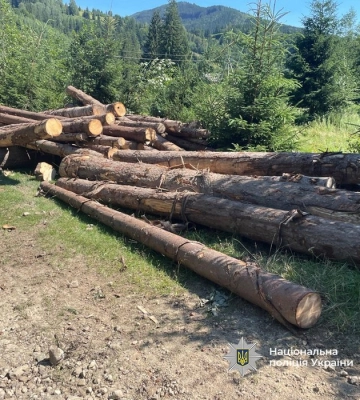 На Прикарпатті посадовців підозрюють у незаконній порубці дерев на понад 721 млн. грн