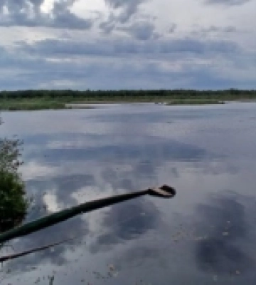 Глухе місце: маловідоме озеро Черське на Волині