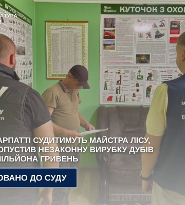На Закарпатті судитимуть майстра лісу, який допустив незаконну вирубку дубів на 5,3 мільйона гривень