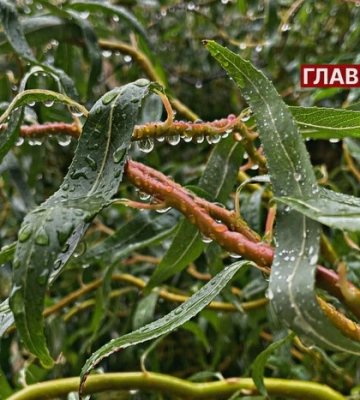В Україні очікуються дощі та сильні пориви вітру: погода на 18 вересня 2025