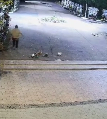 Жінка розкидала квіти та вчиняла хуліганські дії на Алеї Героїв у Ніжині: на неї правоохоронці склали адмінпротокол
