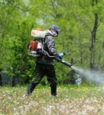 У Львові починають обробку парків від кліщів: коли і де утриматися від відвідування