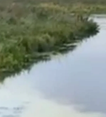 В Хмельницкой области заметили сброс неизвестных веществ в Южный Буг