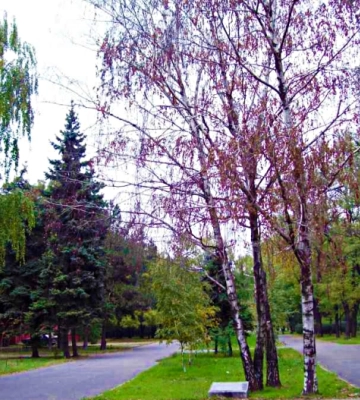 В Одесі виділили майже 1,5 мільйона гривень на реконструкцію відомого парку