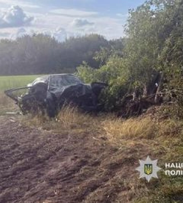 На Полтавщині легковик злетів з дороги: водія госпіталізували