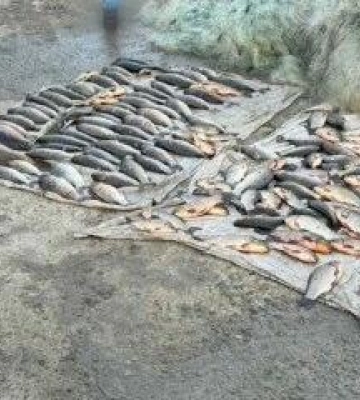На Одещині викрили браконьєра з уловом на сотні тисяч гривень