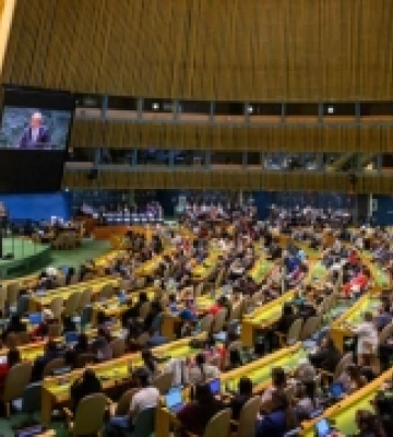 Україна хоче виступити у Радбезі ООН за скликанням Естонії - Сибіга