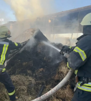 На Запоріжжі на території кінного клуба сталася масштабна пожежа: рятувальники ліквідували загоряння – ДСНС