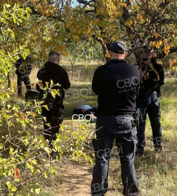На Дніпропетровщині троє підлітків отруїлися грибами